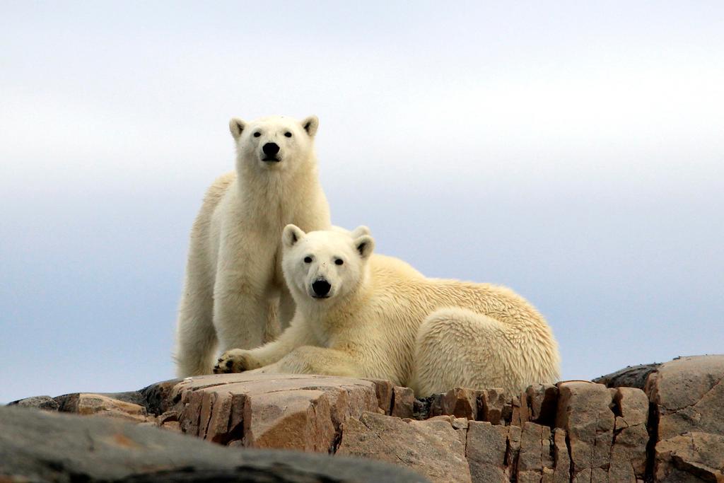 Radisson Blu Polar Hotel, Spitsbergen Longyearbyen Bagian luar foto
